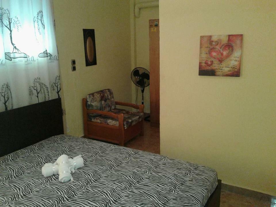 Gatos Apartment Skála Marión Εξωτερικό φωτογραφία
